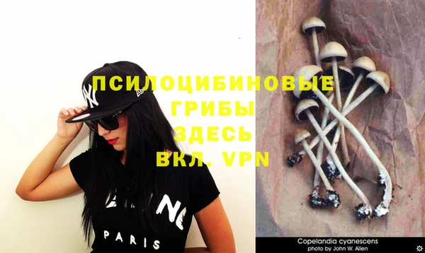синтетический гашиш Беломорск